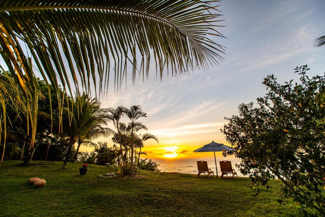 Sungazer * Porto Seguro